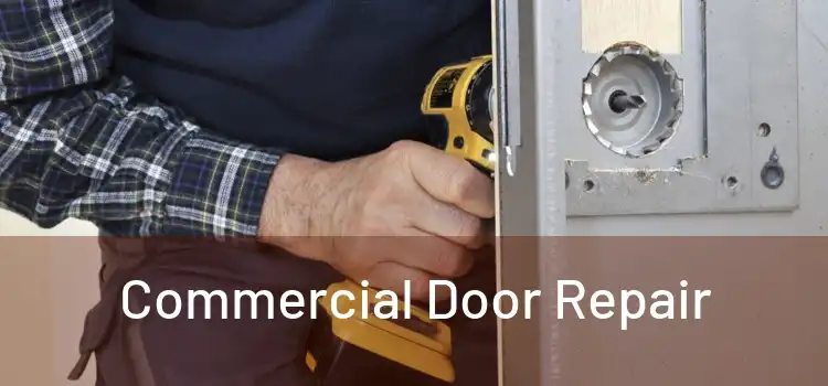  Commercial Door Repair 
